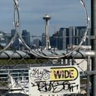 loner but the sun gets me outside fs