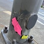 I love you, Seattle