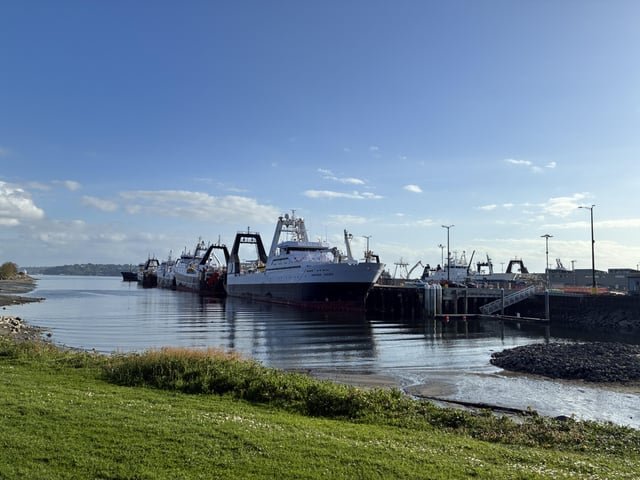 New Pier 69 looks busy