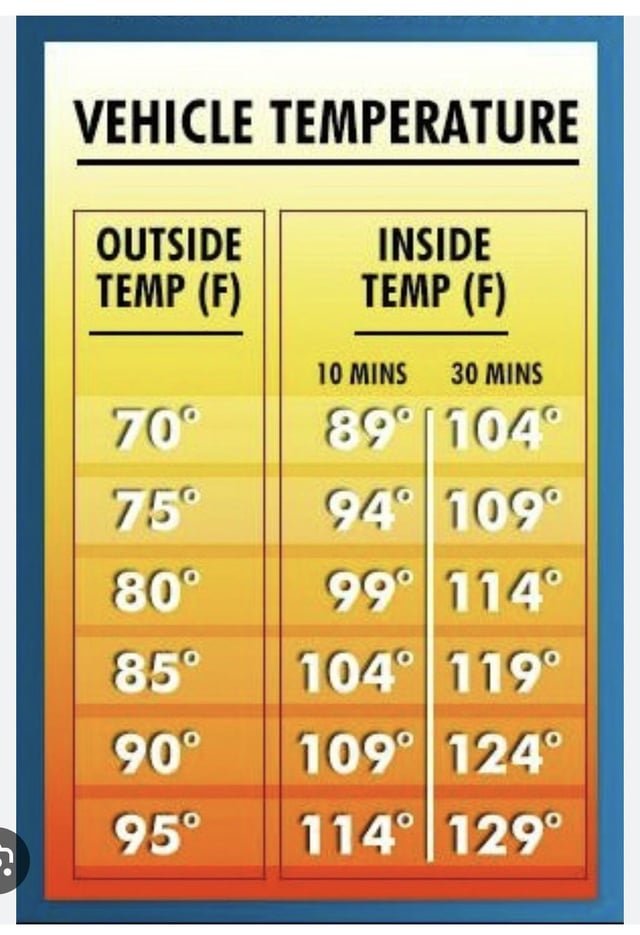Hot cars – warning!
