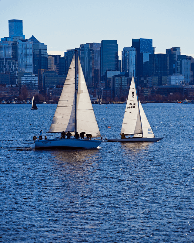 Sailboats on Lake Union