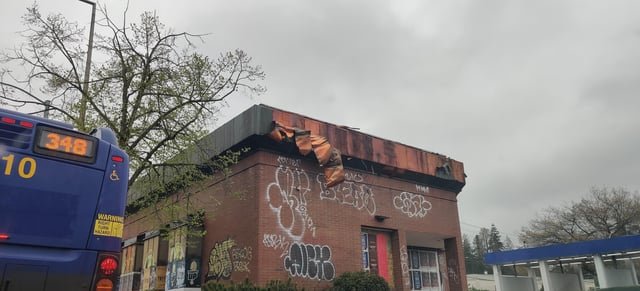 Vultures of the neighborhood