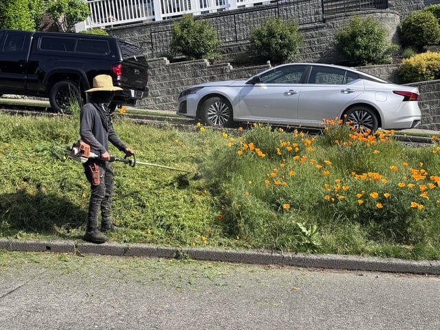 Why did I hey have to destroy all the beautiful flowers?
