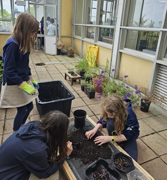 YOU CAN HELP: Hope School Garden Club benefit plant sale Thursday