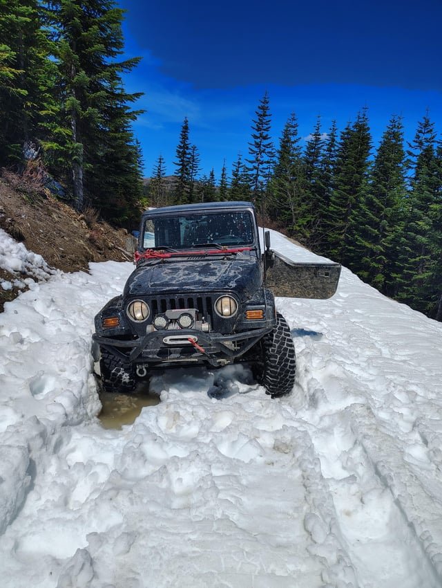 Got lost in the woods and got stuck doing it