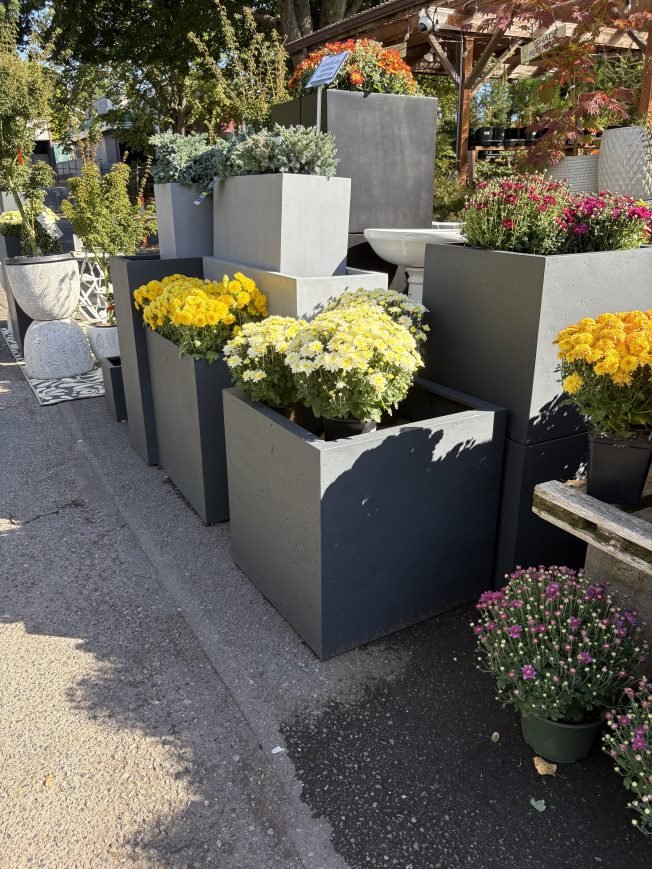 WEST SEATTLE CRIME WATCH: Planters stolen