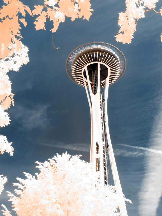 Space Needle in Color Infrared