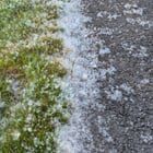 So it begins, the sky floof fuckening. I hate all of you, nicely, and with gusto.