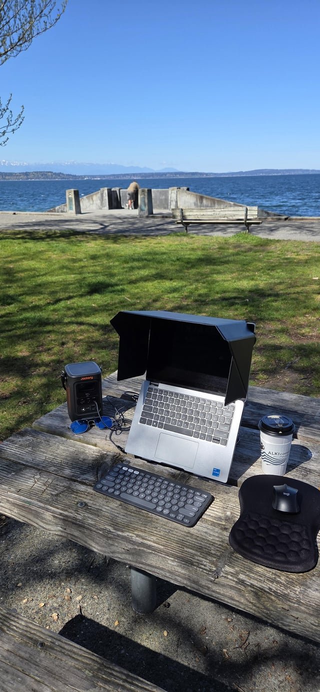 PSA – if WFH is available to you most of the parks in the city are covered by some sort of Wi-Fi and with just a couple of items the park can be your office.