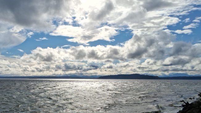 WEST SEATTLE SATURDAY: More than three dozen things to do, plus closure alerts