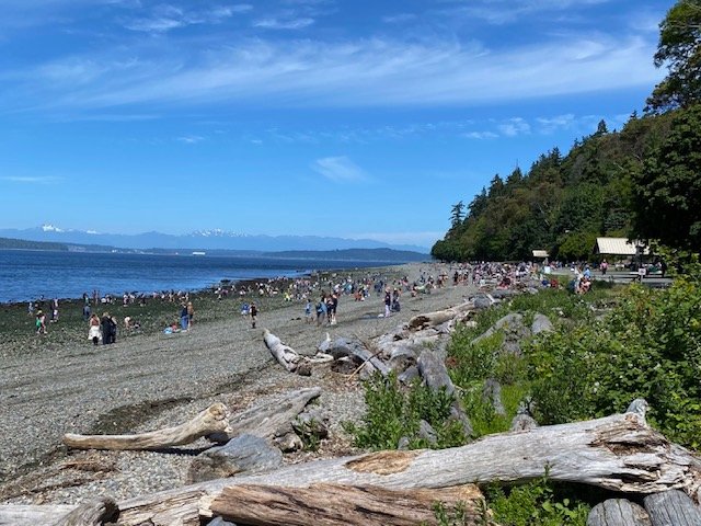 Low-low tides ahead! Here’s when to see them, with and without beach naturalists