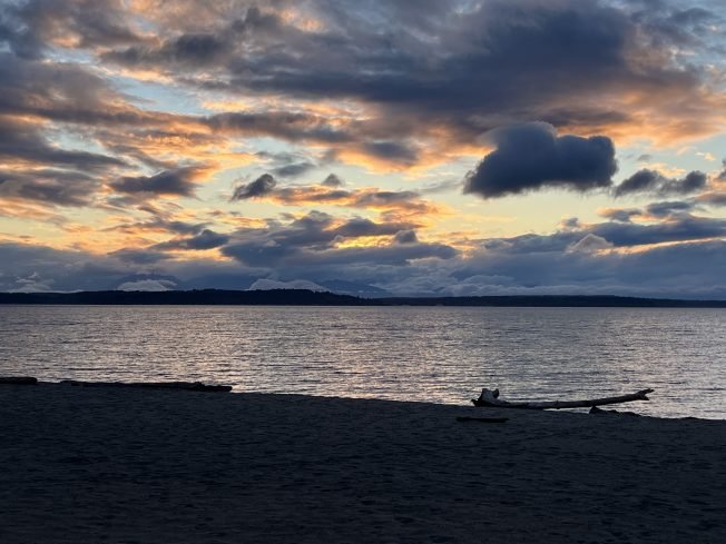 Wine Walk, forest walks, music, movie, more for your West Seattle Friday!
