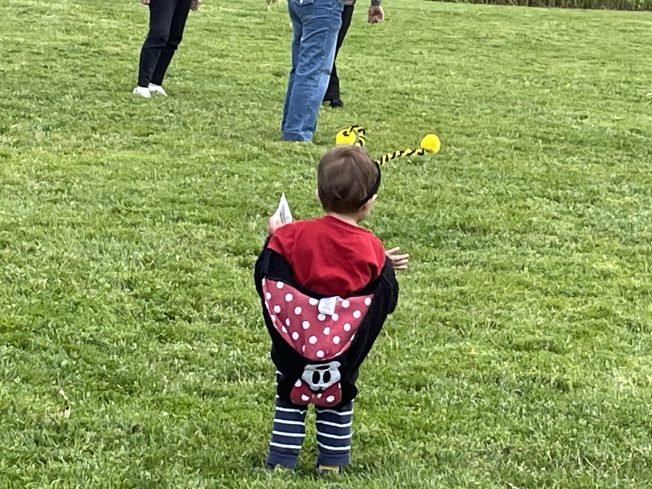 HAPPENING NOW: 2026 West Seattle Bee Festival