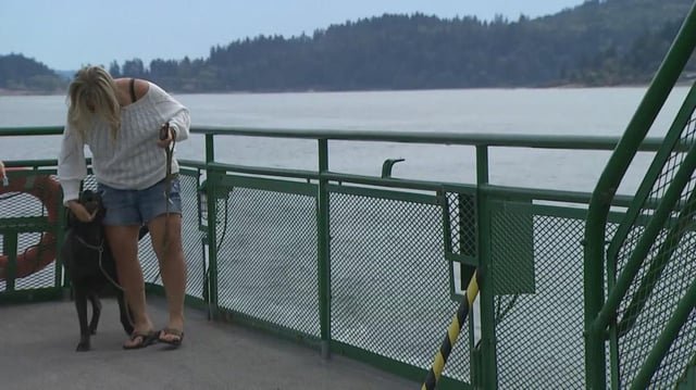 Leashed pets are officially allowed inside Washington State Ferry cabins July 1