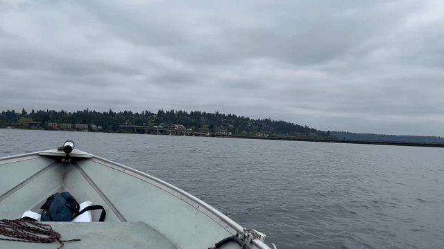 My Futile Attempt to Race the Line 2