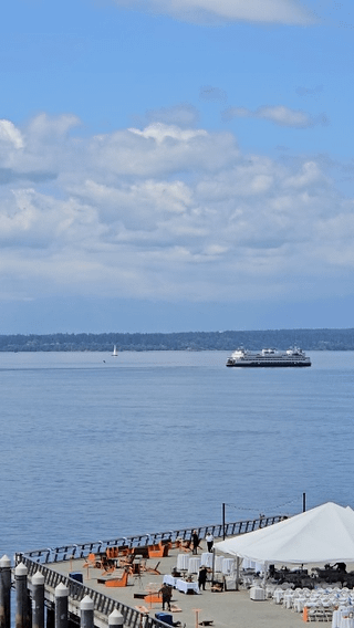 Baby humpback whale breaching in Elliott Bay!