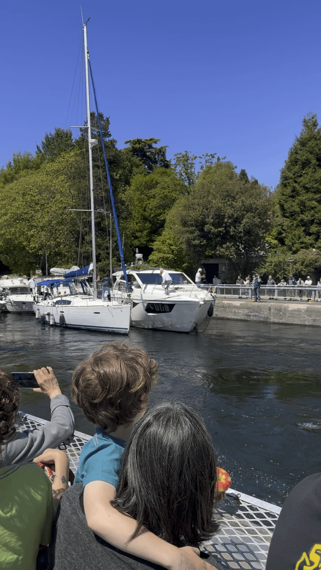 Meanwhile at Ballard Locks