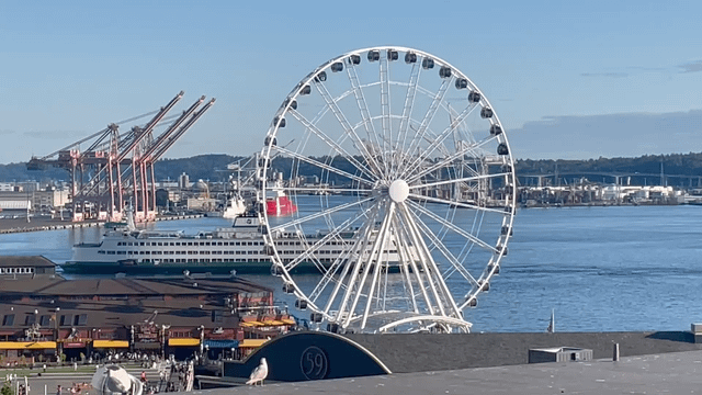Oh, Seattle. Stop flirting!