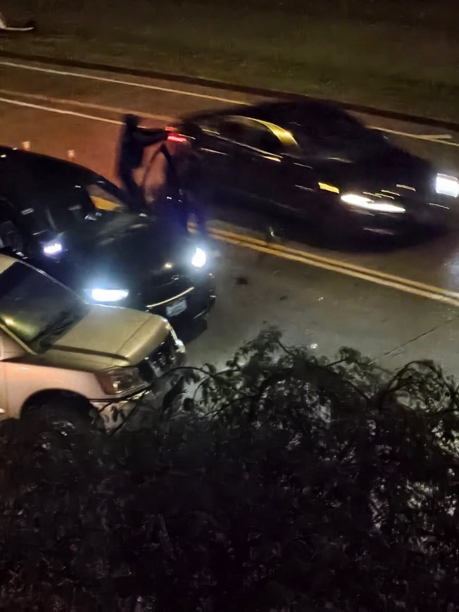WEST SEATTLE CRIME WATCH: Carjacking on Harbor Avenue SW
