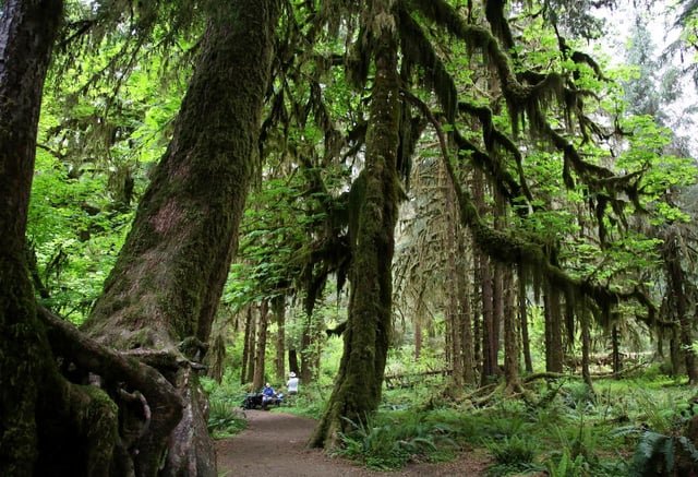 A violent campsite confrontation left a toddler with a gunshot wound to the head in Washington state
