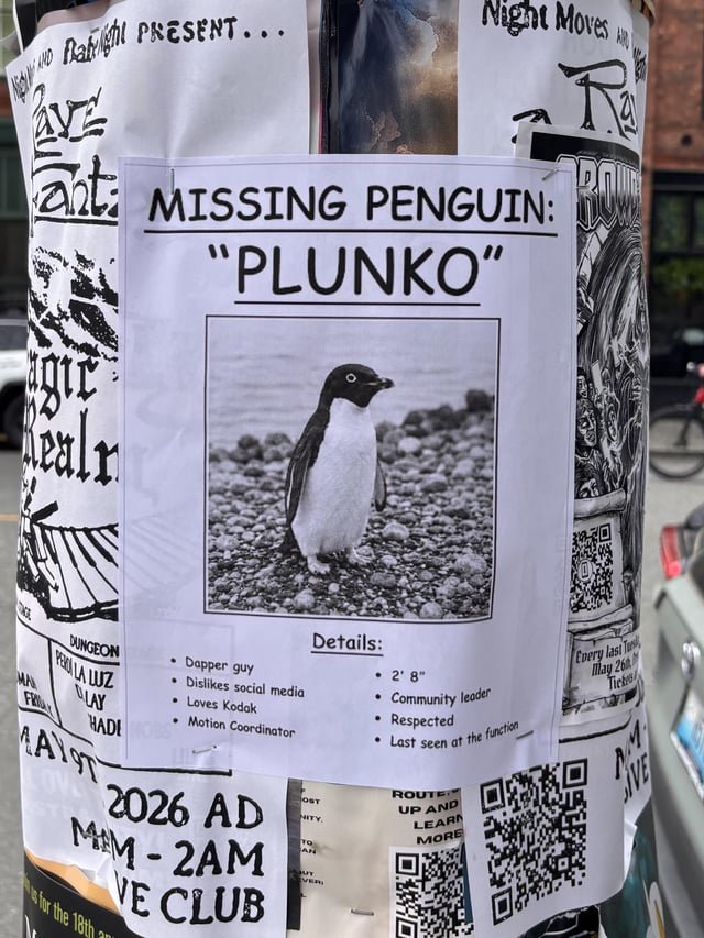 Missing Plunko?