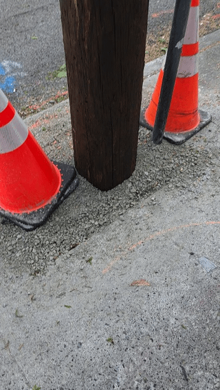Update on the pole that fell onto the tree outside Pie Bar in Capitol Hill: they fixed it insanely fast