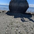 Exposed Fourmile Rock. Thank you low tide!