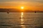 Golden hour at the Golden Gardens