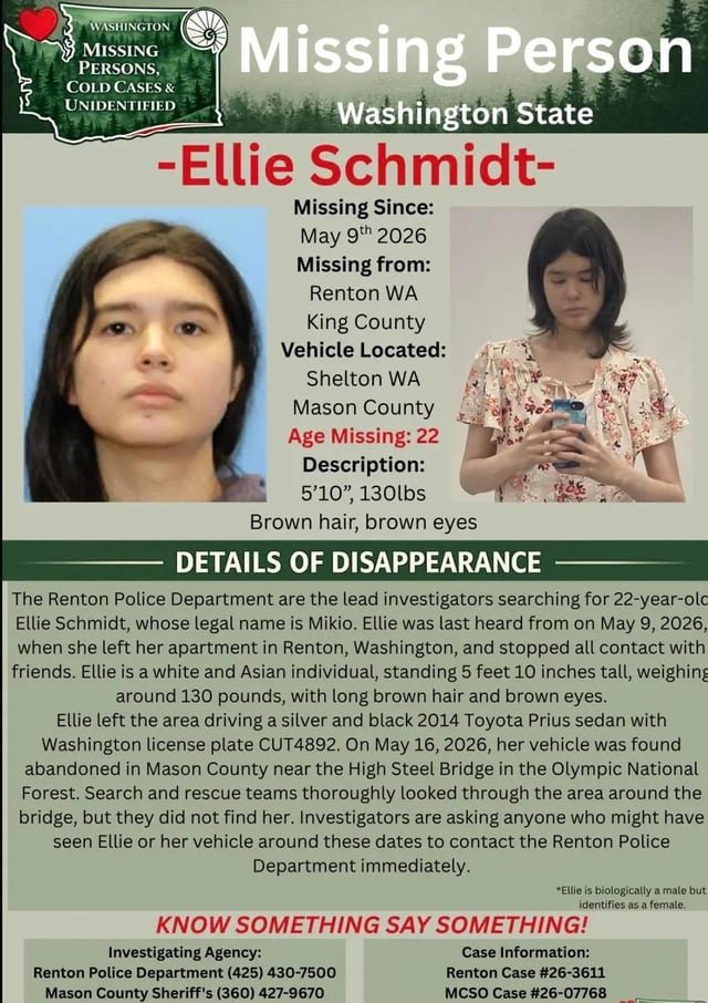 Missing Person – Ellie Schmidt