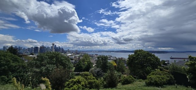 Lovely day after the rain