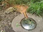 Polluted water in Licton Springs Park