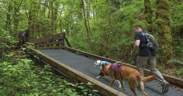 An Eastside walking trail reveals hidden mining towns