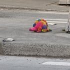 Dino: N Midvale Pl & Midvale Ave N