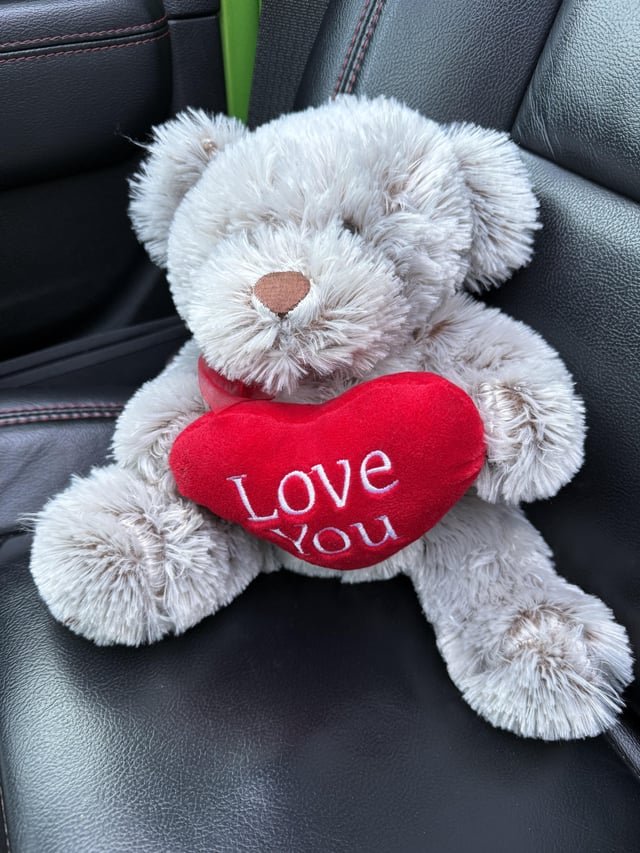 Found Teddy Bear On The Road