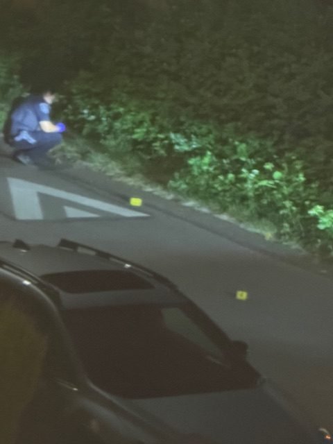 WEST SEATTLE CRIME WATCH: Gunfire on 18th SW