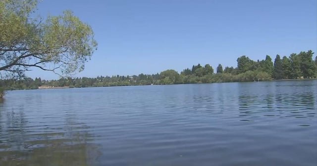 3 King County beaches closed after poop detected in water — 1 tests 44x above safe levels – KIRO 7 News Seattle