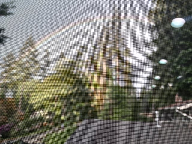 Full blown rainbow is out, look east..