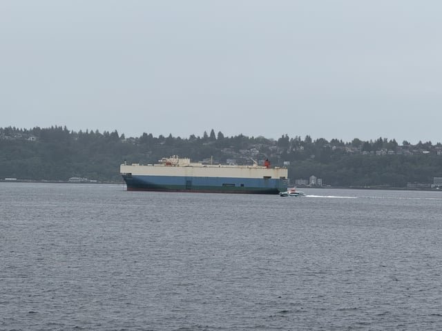 Why is this ship here every day?