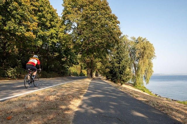 We Deserve This Lane: Lake Washington Boulevard Belongs to People, Too