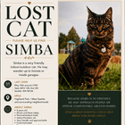 Lost Kitty: Please upvote for visibility kind neighbors