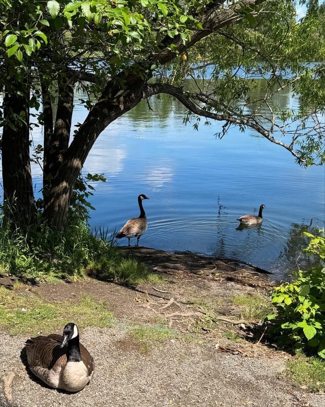 Greenlake ❤️❤️❤️