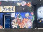 Art in alleys