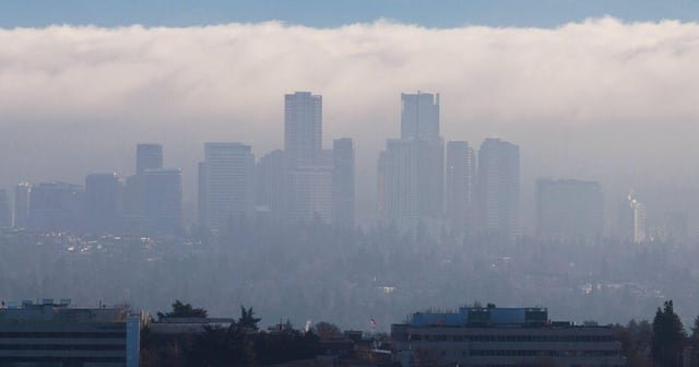Bellevue made it illegal to protest sex offenders outside their homes! Who wants to find a pedophile to protest and test the case?