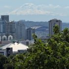 thank you, seattle