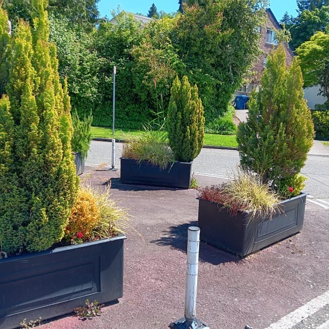 Adopt a (big) plant! Fauntleroy Community Association’s planter refresh means some need new homes