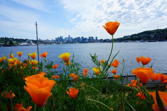 Didn’t want to take a picture of the space needle today…