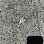 Lost key Harvard and Spring