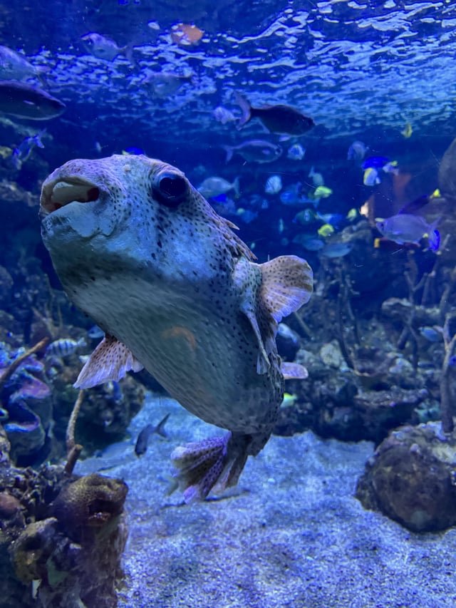 Seattle Aquarium