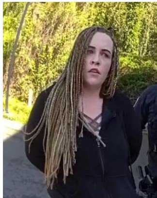 CRIME WATCH FOLLOWUP: Woman arrested, charged in three West Seattle business burglaries, and others