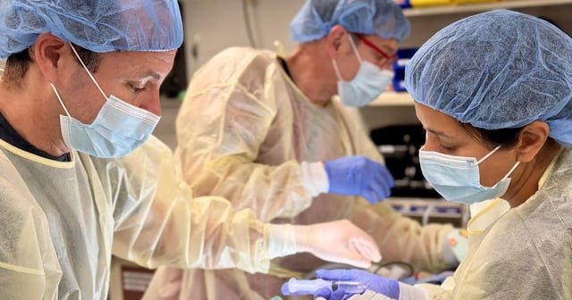 Obstetrical team performs rare C-section on gorilla Olympia to deliver baby. New gorilla mom Jamani steps in to help care for Olympia’s baby